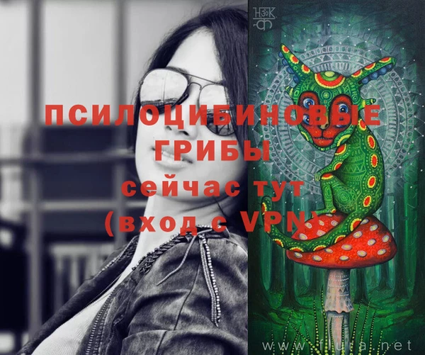 таблы Алзамай