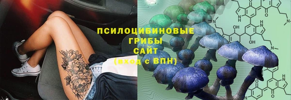 таблы Алзамай
