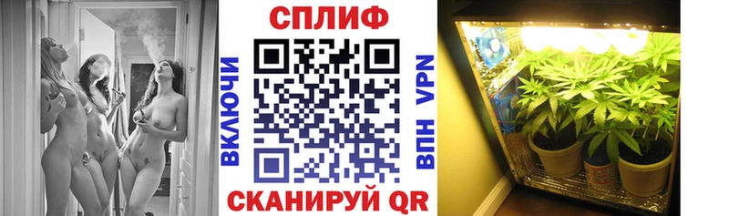 kraken ТОР  наркота  Сурск  Конопля AK-47 